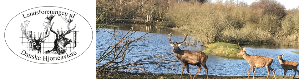 Landsforening af Danske Hjorteavlere